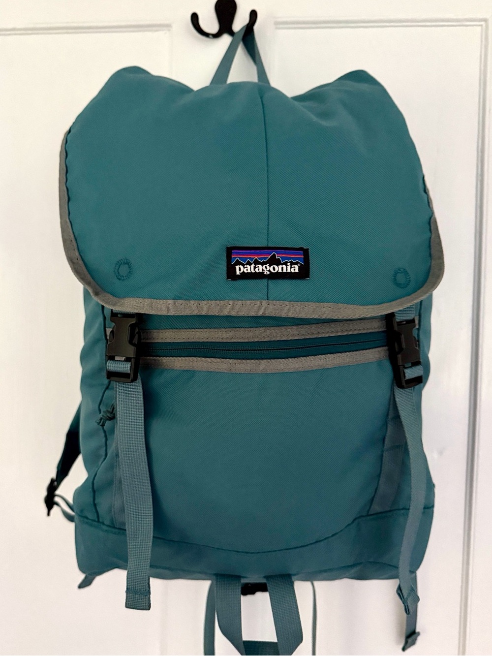 Patagonia Teal Arbor 25L Roll-Top Backpack
